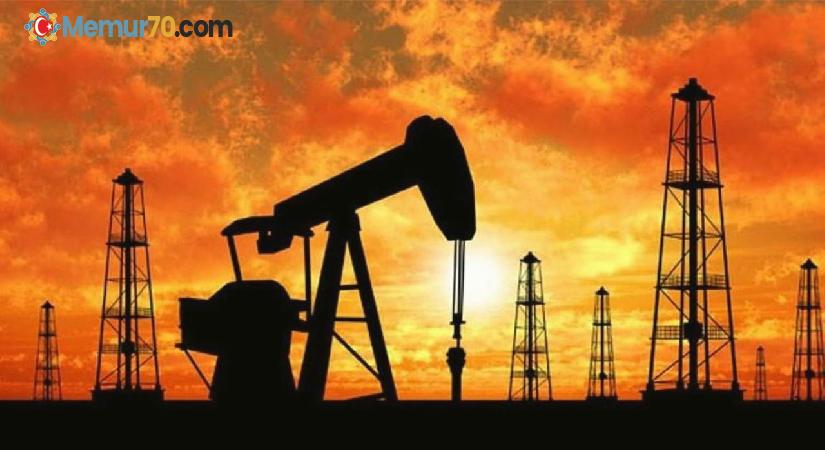 Petrolde gözler Kızıldeniz krizi ve OPEC’te