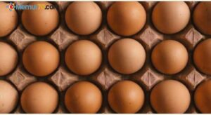 Türkiye’den Rusya’ya 19 tonluk yumurta