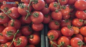 Türkiye’nin domates ihracatı 2023’te yüzde 42 arttı
