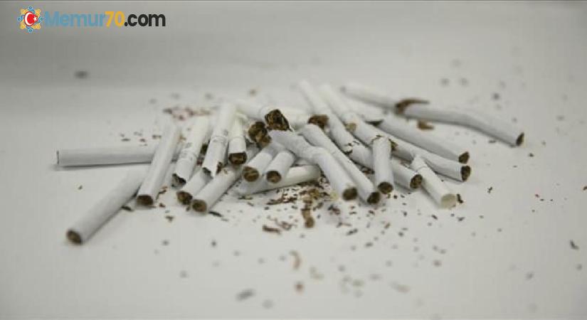 Kanserlerin yüzde 30’u sigara kaynaklı