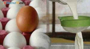 Tavuk eti ve süt üretimi arttı, yumurta üretimi azaldı