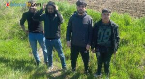 Edirne’de 4 kaçak göçmen yakalandı
