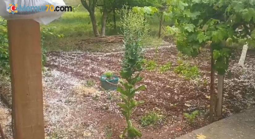 Iğdır’da ani dolu yağışı tarım arazilerine zarar verdi