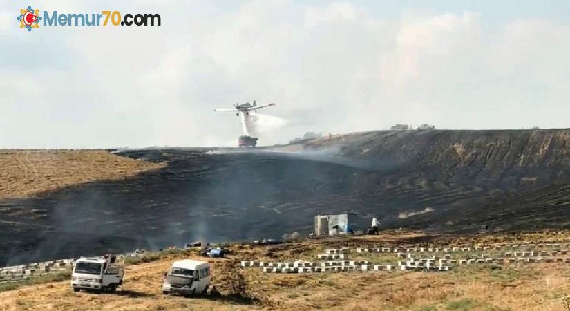 Anız yangını arı kovanlarına zarar verdi