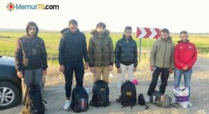 Edirne’de 11 kaçak göçmen yakalandı