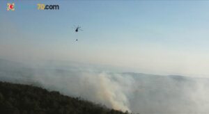 Ormanlar, yangın tehdidine karşı 14 İHA ve 368 kamerayla izleniyor