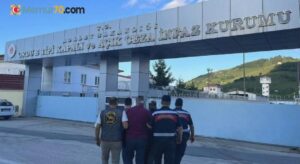 Ordu’da yasadışı kenevir ekimi yapan 2 kişi tutuklandı