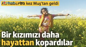 Bir kızımızı daha hayattan kopardılar