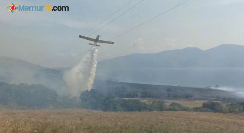 Erdek’te 100 dönüm alan yangında zarar gördü