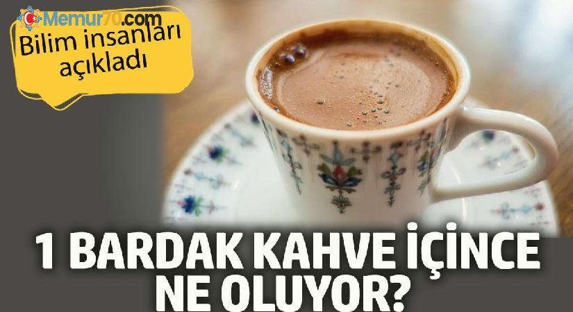 Kahve içince ne oluyor?