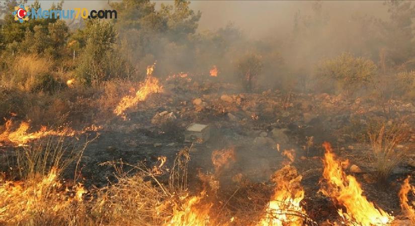 Muğla’da bu yıl çıkan 385 yangında 1400 hektar tarım ve orman alanı zarar gördü