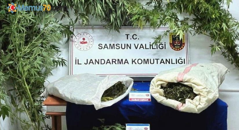 Samsun’da jandarma 8 kilo kubar esrar ele geçirdi