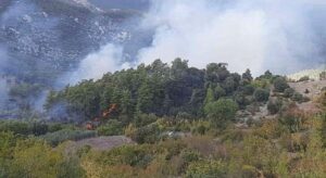 Kumluca’da orman yangını