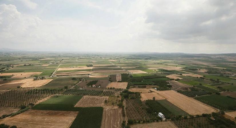 Tarlası ve arsası olanlar dikkat! Boş bırakmak yok