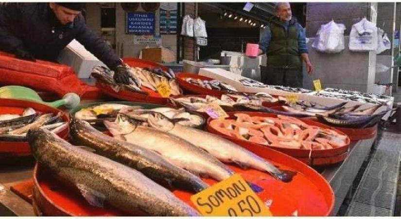 Hava soğudu, balık fiyatları yükseldi