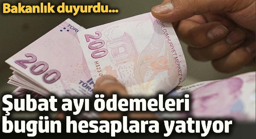 Şubat ayı ödemeleri hesaplara yatıyor