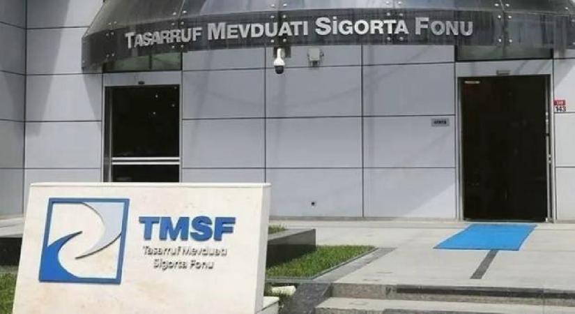 TMSF iki enerji şirketindeki paylarını satışa çıkardı