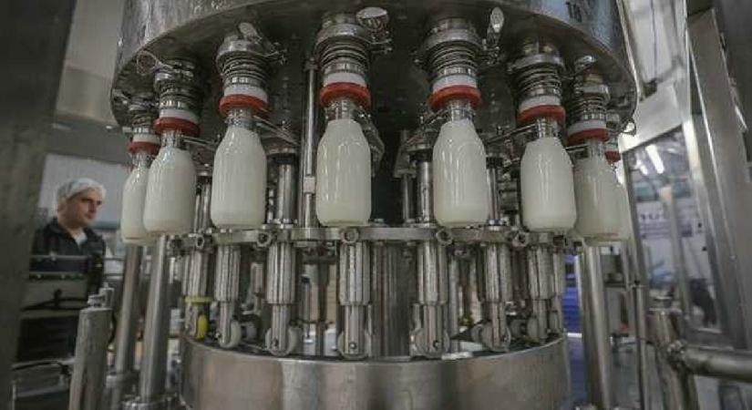 56 süt şirketine soruşturma! Ünlü markalar listede