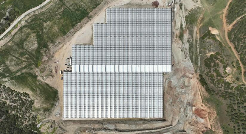 Manisa’da jeotermal serada üretilen 500 ton domates ihraç edildi