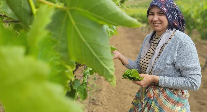 Yaprak toplama sezonu başladı!