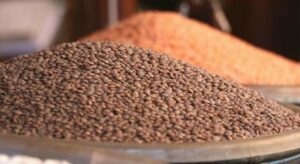 FAO: Küresel gıda fiyatları tahıl ve şeker fiyatlarındaki düşüşle mayısta geriledi