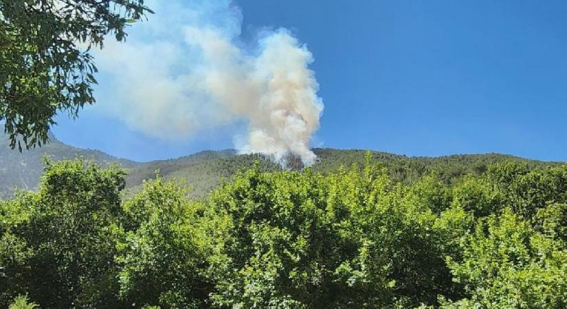 Hatay’da orman yangını