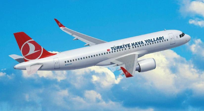 Türk Hava Yolları, BAE uçuşlarını iptal etti