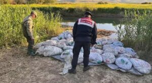 Van’da denetimlerde 22 ton 475 kilogram inci kefali ele geçirildi