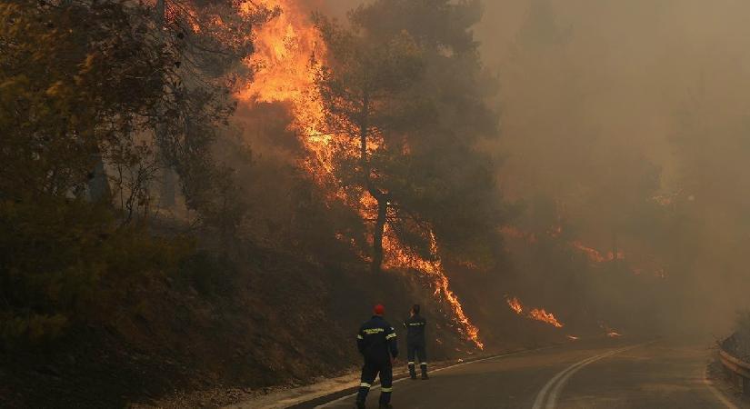 Yunanistan’da yangın çıkardığı belirlenen bir kişi gözaltına alındı