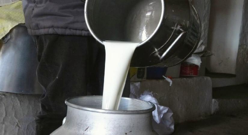 Çiğ süt fiyatları belli oldu!