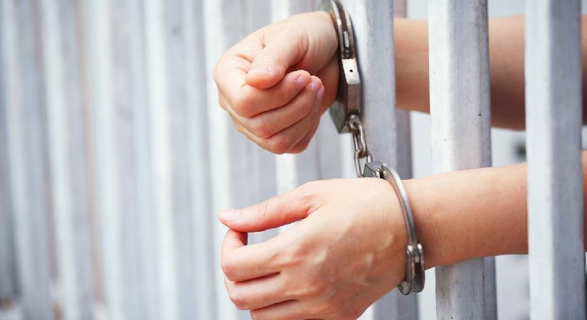Tahliye olan arkadaşının çantasına saklanarak hapisten kaçtı