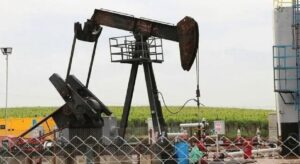 Petrol hakkına müteallik karar