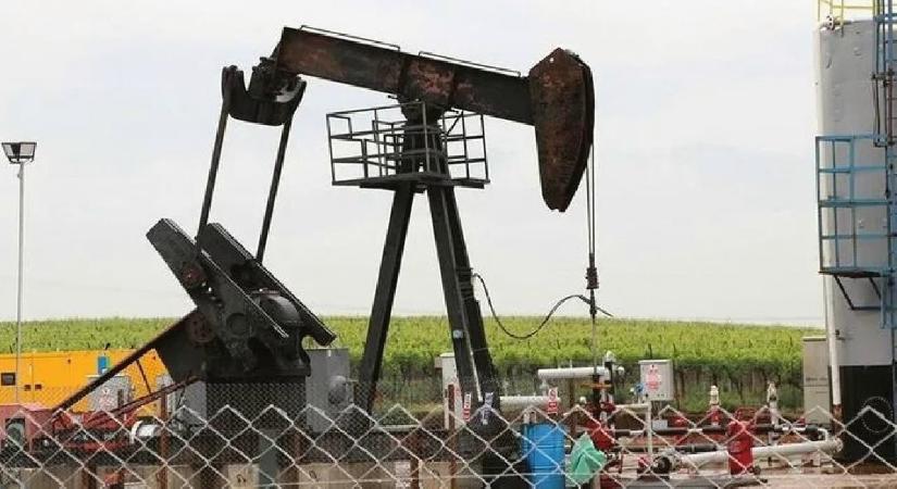 Petrol hakkına müteallik karar