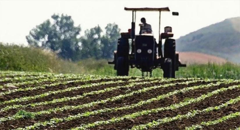 Tarımsal girdi fiyat endeksi haziranda arttı