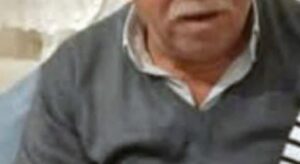 Ayçiçeği hasadında biçerdöverin altında kalıp öldü