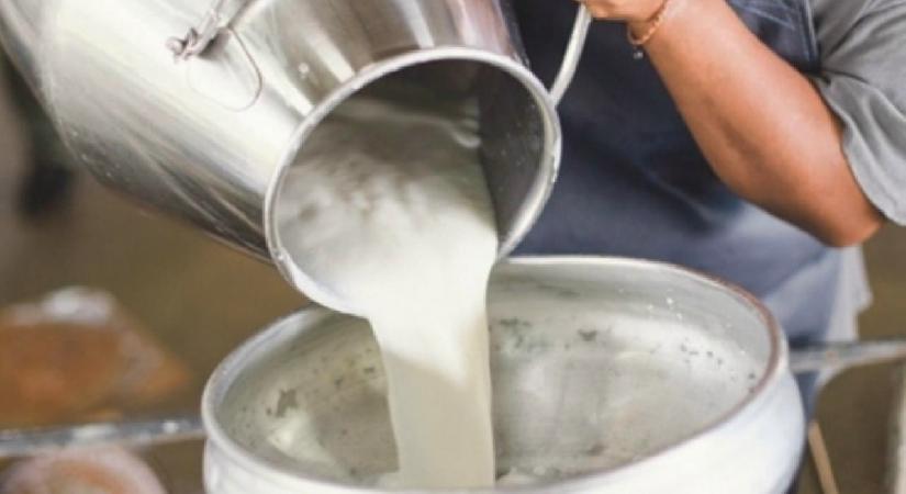 Çiğ süt referans fiyatına yüzde 6,81 zam
