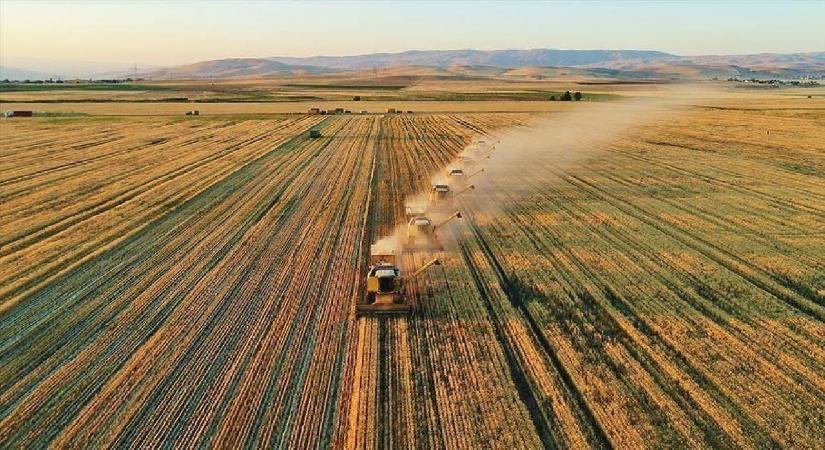 IPARD III kapsamında geçen ay girişimcilere 597,6 milyon lira hibe ödendi