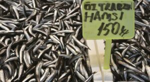 Trabzon’da hamsi ve istavrit 150 liradan satışa sunuluyor