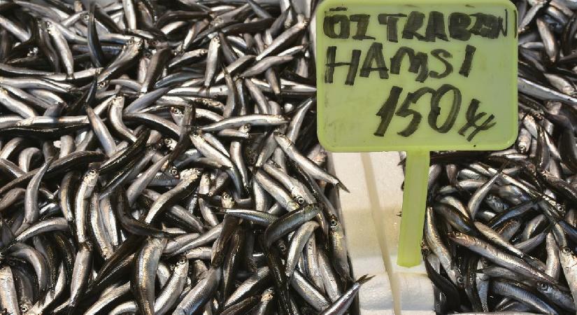 Trabzon’da hamsi ve istavrit 150 liradan satışa sunuluyor