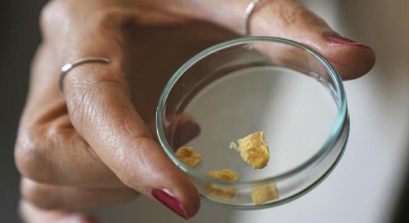 Balık kılçığı yüksek kaliteli kolajene dönüştürüldü