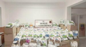 Başkale’de 4 milyon 163 bin TL değerinde kaçak malzeme ele geçirildi