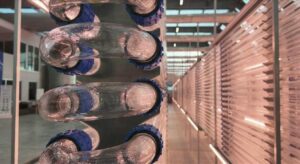 Boğaziçi Üniversitesi mikroalg temelli biyopestisit geliştirecek