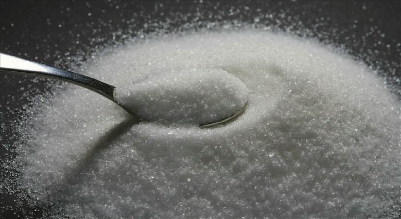 Şekerde 2026-2027 dönemi kotaları belirlendi