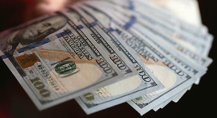 Serbest piyasada döviz açılış fiyatları