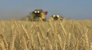 TMO’dan arpa ve mısır ithalatında tarife kontenjanı düzenlemesine ilişkin açıklama: