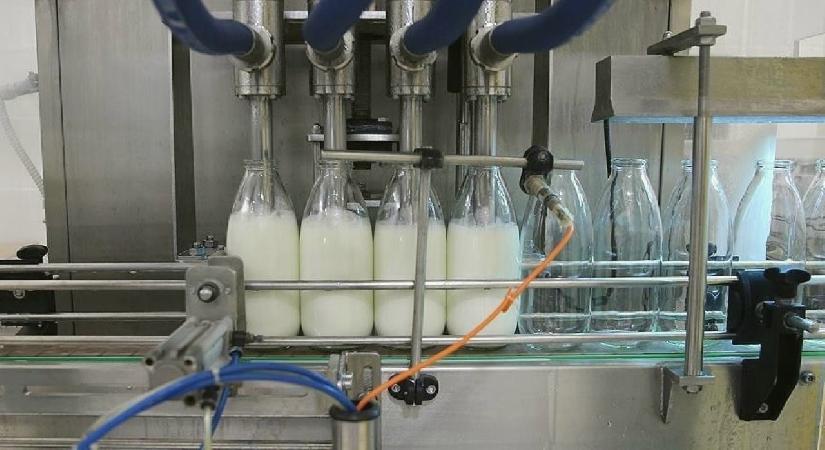 Toplanan inek sütü miktarı eylülde 892 bin 886 ton oldu