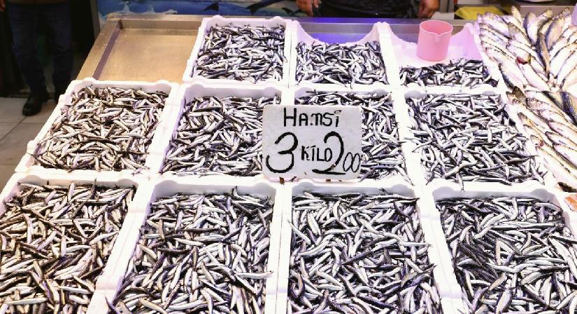Trabzon’daki balıkçı tezgahlarında hamsinin kilogramı 75 liradan satılıyor