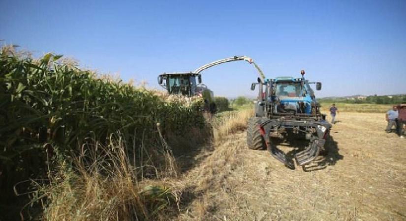 Çiftçiler dikkat! Tarımsal desteklerden yararlanmak isteyenler için son 3 gün…