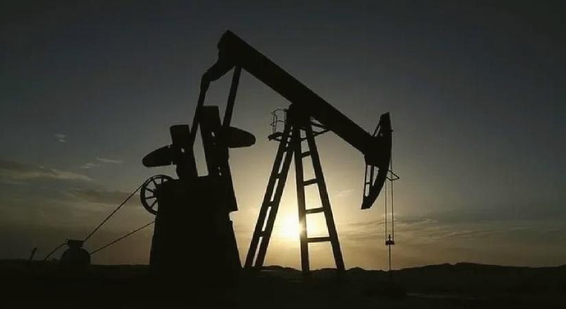 TPAO’nun4 petrol arama ruhsatına süre uzatımı