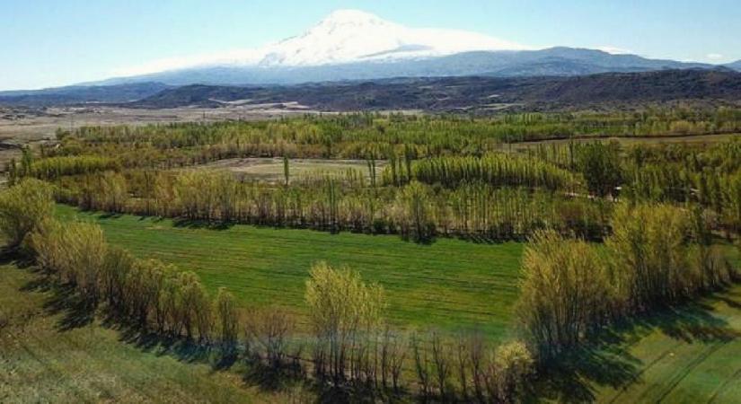 2B arazilerinde başvuru ve ödeme süresi uzatılıyor